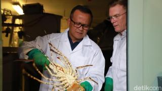 Menteri Edhy Prabowo Ditangkap KPK soal Benih Lobster, PD: Sudah Kami Ingatkan