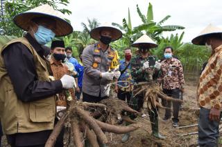 Antisipasi Ketahanan Pangan Kapolresta Pekanbaru, Walikota & Dandim 0301 Resmikan Kampung Tangguh 