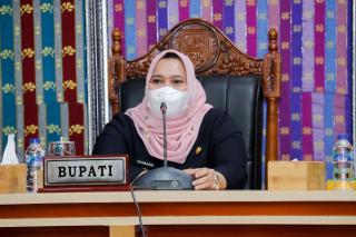 Penetapan Propemperda Tahun 2020, Bupati Bengkalis Ikuti Rapat