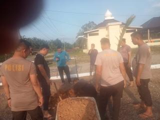 Kapolsek Rambah Samo Toto Nurdianto dan Anggota, Melakukan Giat Penanaman Pohon Kelapa