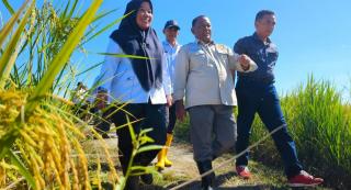 Tingkatkan Kesejahteraan Petani, Dinas Pertanian Bangun Jalan Usaha Tani di Empat Lokasi Tahun 2023