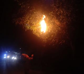 Tim Rescue Damkar dan Penyelamatan Lakukan Penanganan Terhadap Sarang Tawon di Desa Kampung Panjang